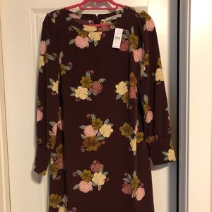 Brand new, never worn, shift dress from LOFT.